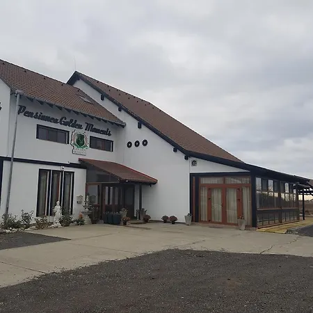 招待所 Golden Moments *