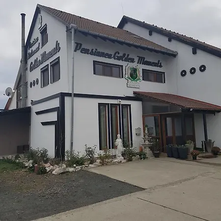 Golden Moments 蒂米什瓦拉