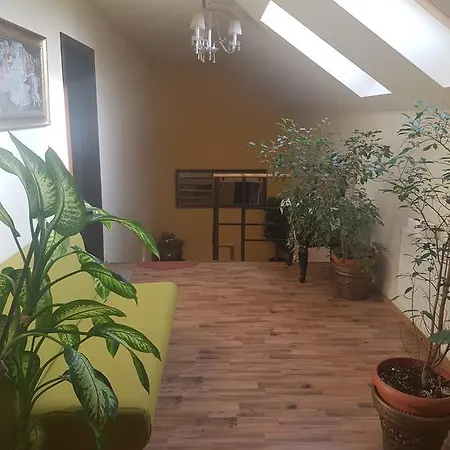 Golden Moments 蒂米什瓦拉