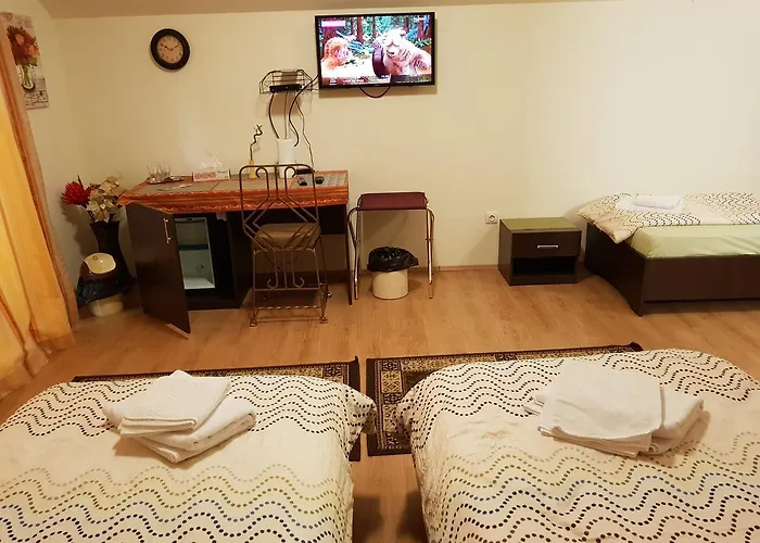 Guest house Golden Moments Timisoara